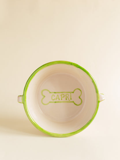 Bowl personalizado para perro · Diseña el tuyo