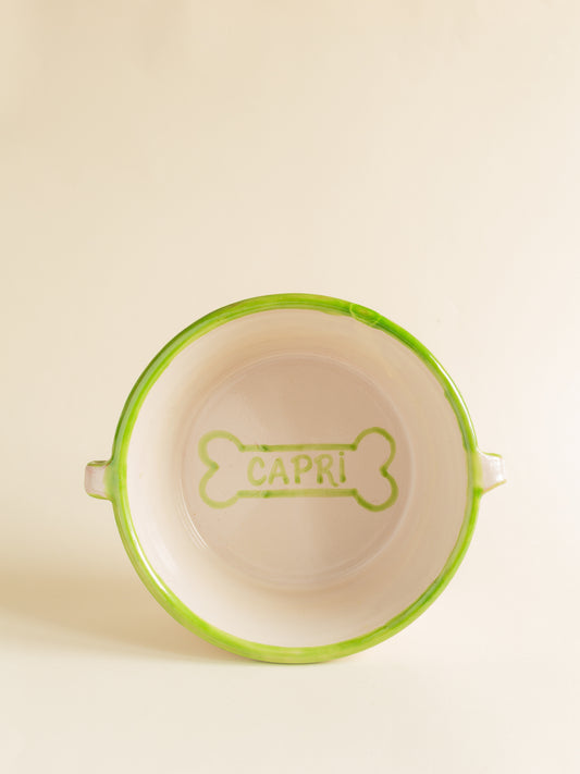 Bowl personalizado para perro · Diseña el tuyo